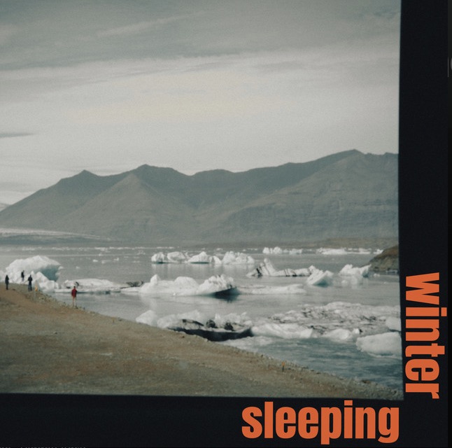 Album-BartlebyDelicate-WinterSleeping Album-BartlebyDelicate-WinterSleeping