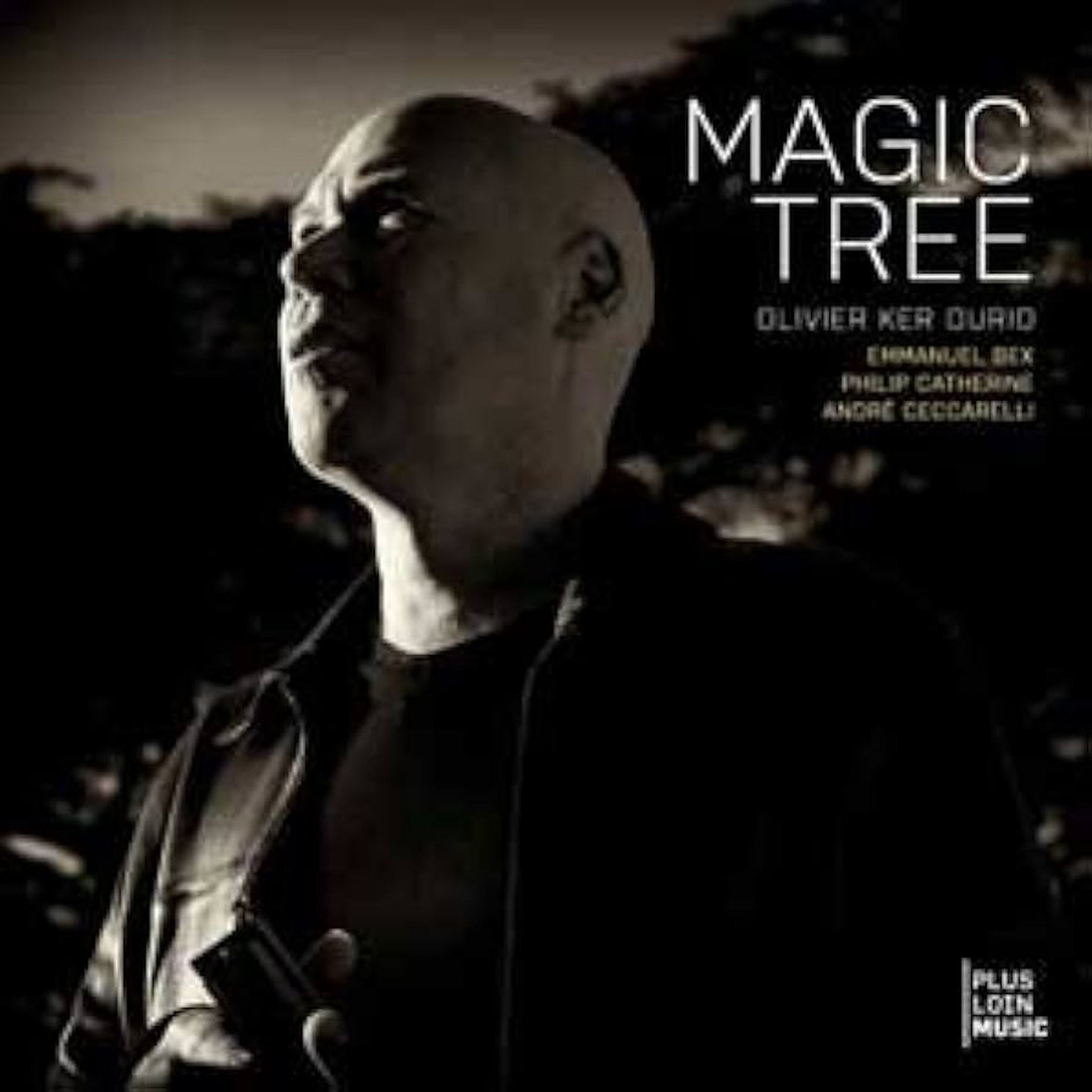 Album-OlivierKerOurio-MagicTree