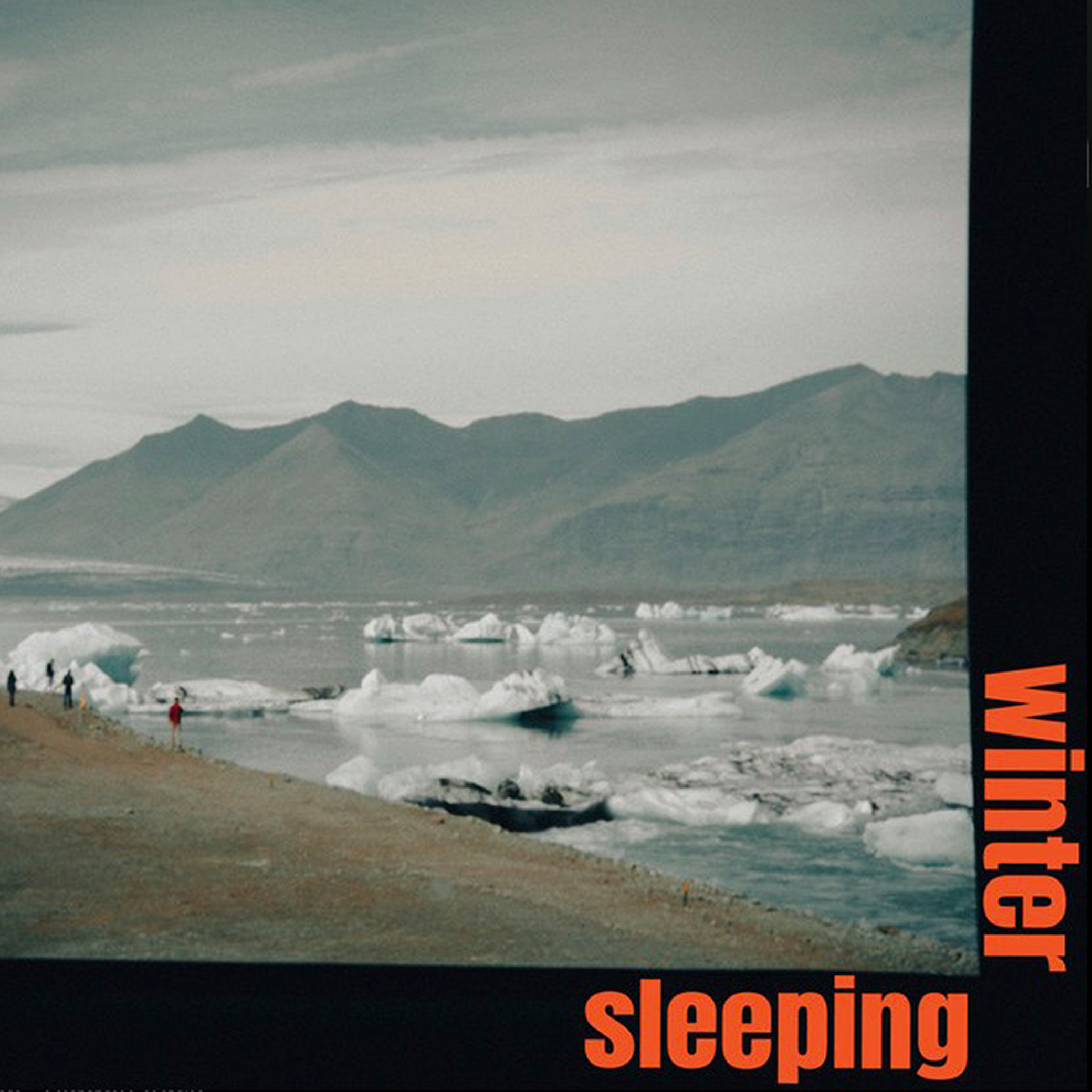 Album-BartlebyDelicate-WinterSleeping-SQ